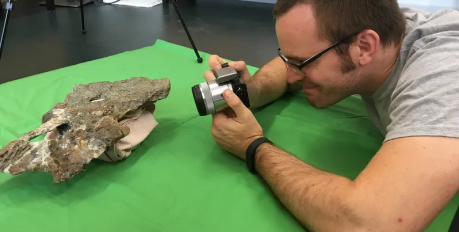 Науковці виявили новий вид титанозаврів у Єгипті та назвали його в честь древнього божества — Ігай семху динозавр, палеонтологи, Земля, вид, рід, титанозавр, рештки, шия, кістки, відкриття, знахідка, божество, оазис, Африка, Єгипет