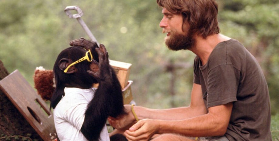 шимпанзе ним чимпский