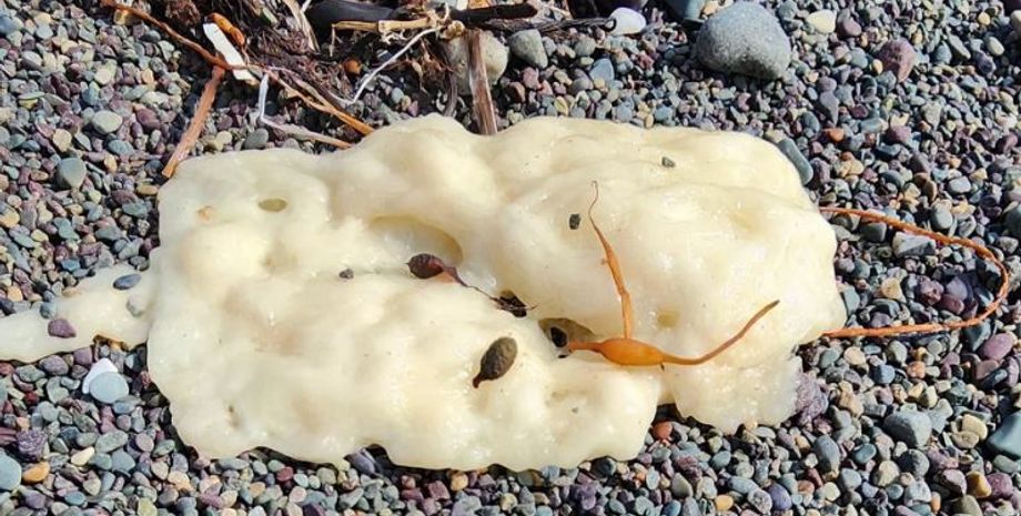 Неизвестное науке вещество, которое отлично горит, что это может быть, версии местных жителей и ученые