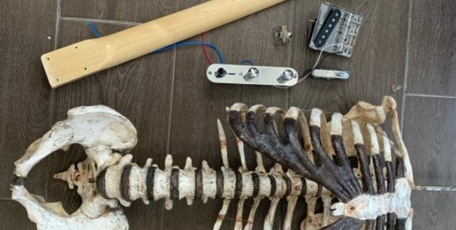 гитара, скелет