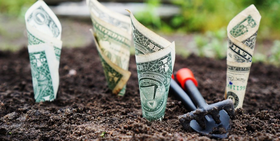 Фото: pxhere.com