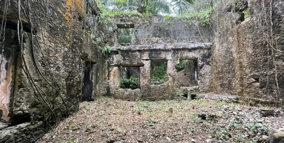 раби, невільники, історія, археологія, археолог, антрополог, дослідження, наука, цукор, плантація, Португалія, люди, острів