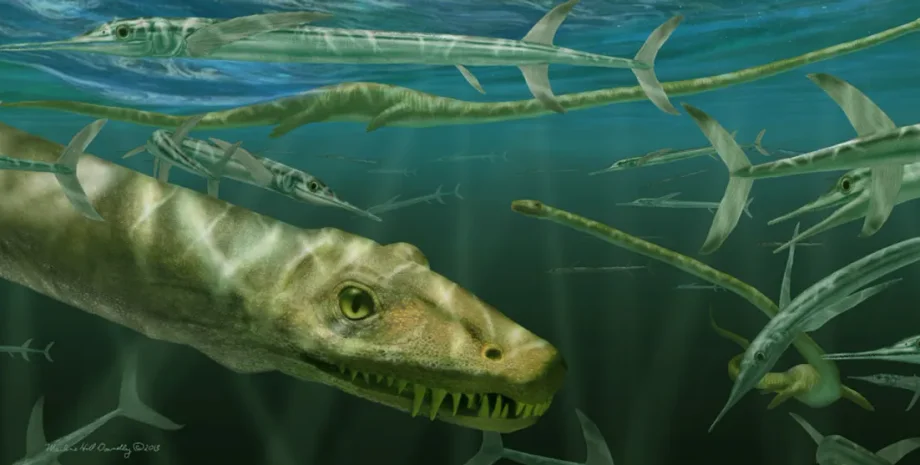 Китай, окаменелость, дракон, динозавр, Триасовый период, исследования, ученые, палеонтологи, реконструкция, позвоночные, палеонтология, открытие, наука, экземпляр, вода, Германия, Шотландия, США, Пекин, рептилия