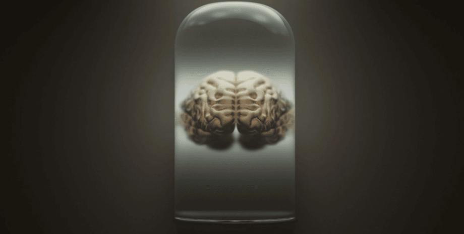 мозг, мозг человек