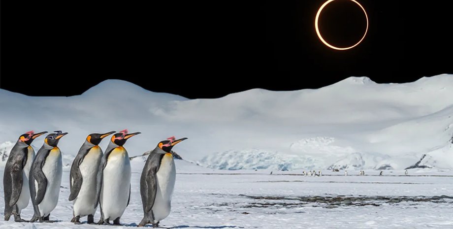 затмение в антарктиде