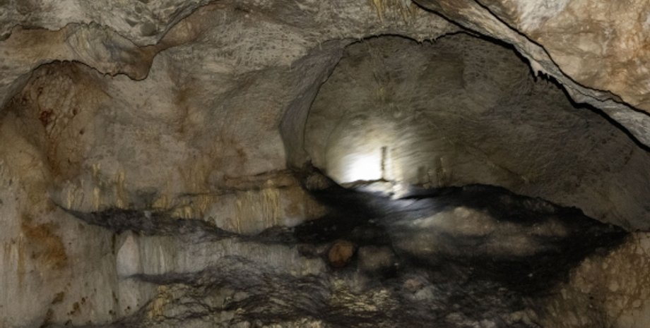 скелет человека