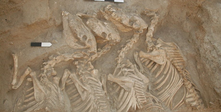 кунги, кістки, поховання, фото