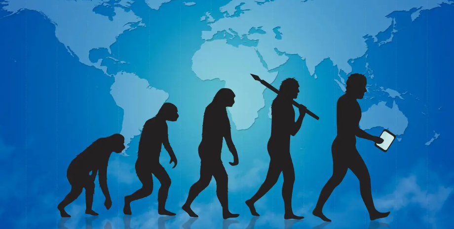стопа, эволюция, человек, свод, ходьба, бег, развитие, древние люди, исследования, примат, сустав, бегун