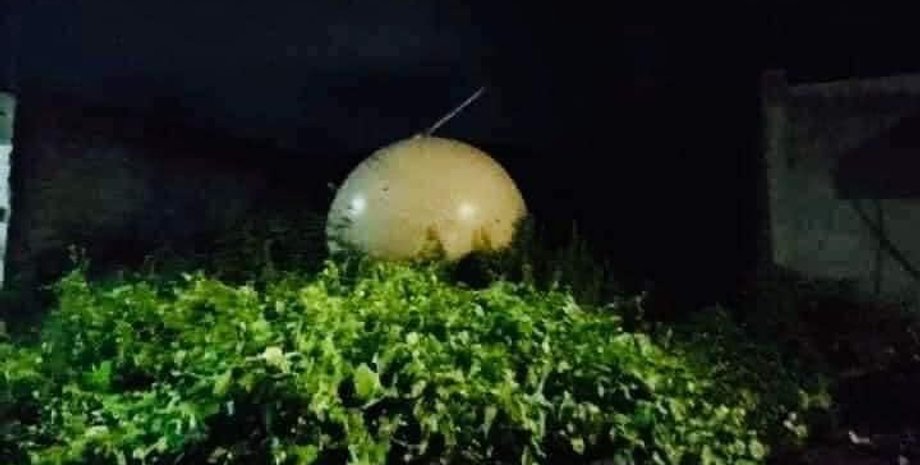 шар, зелень, фото