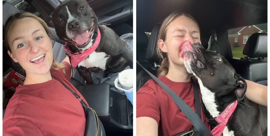 Після 1043 днів у притулку: реакція собаки на нову опікунку завірусилася в мережі