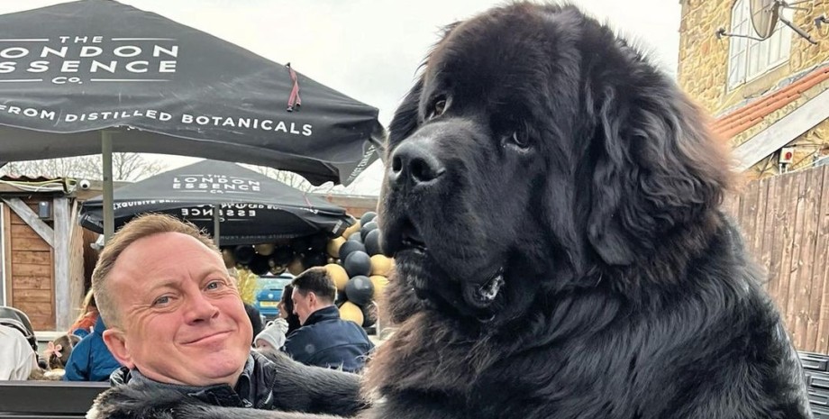 ньюфаундленд Шерман, величезний пес, великий собака, собака з інстаграму