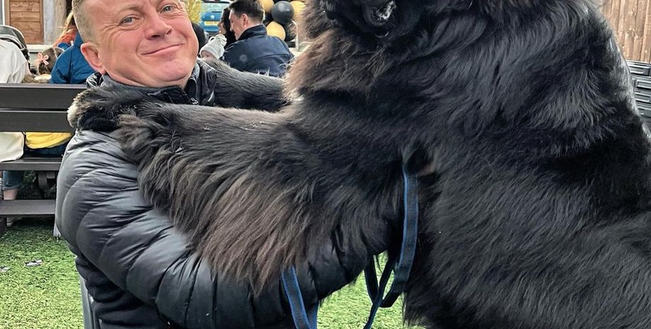 ньюфаундленд Шерман, огромный пес, большая собака, собака из инстаграма