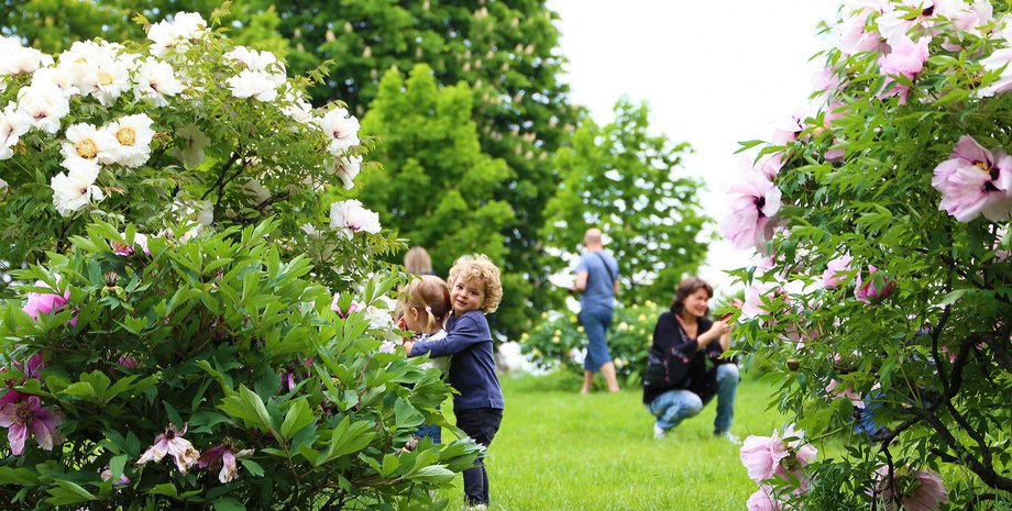 ботанічний сад, зелена зона