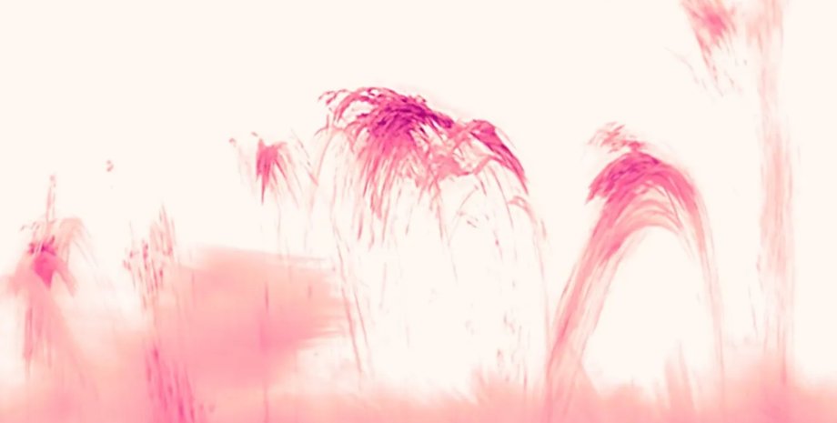 дождь, солнце, солнечная корона