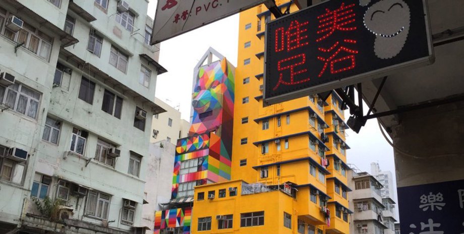 Фото: birdinflight.com