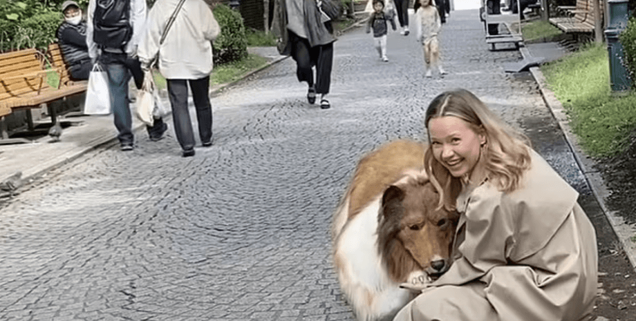 японец в костюме колли, девушка, парк, люди на прогулке