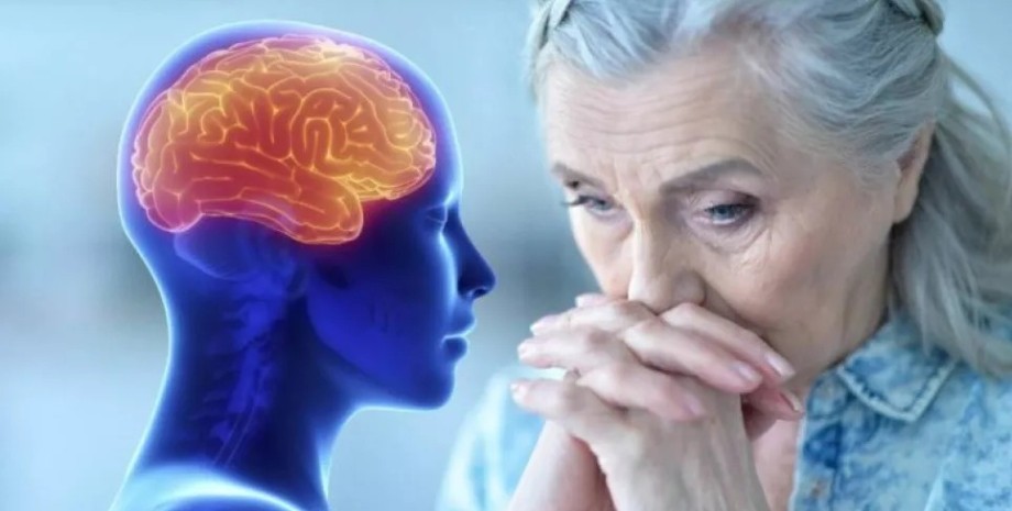 Старение мозга Ученые обнаружили, когда наступает критический возраст человека и начинается дегенерация мозга — исследование0