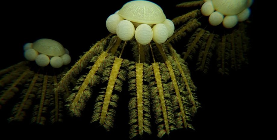 ордовицький період