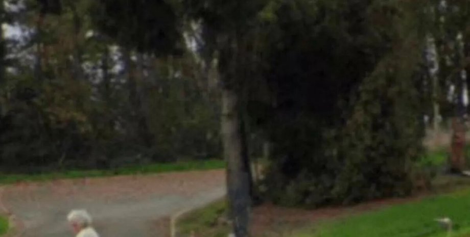 Завдяки Google Maps встановили, в якому напрямку пішла пенсіонерка