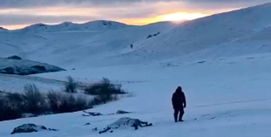 Алтай, РФ, кони, лошадь, жеребята , табун, расстрел