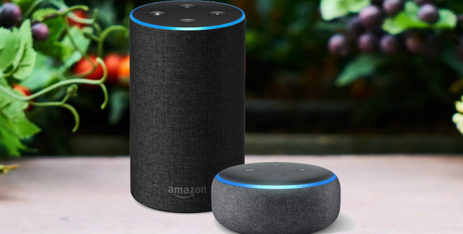 Amazon, Amazon Echo, Amazon Alexa, помощник Amazon Alexa, голос Amazon Alexa