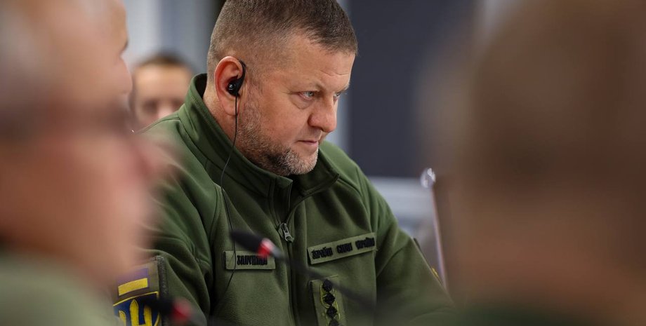 Залужний, звільнення, Зеленський