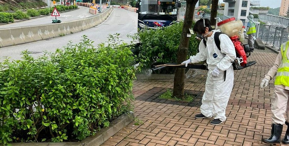 вирус чикунгунья, китай