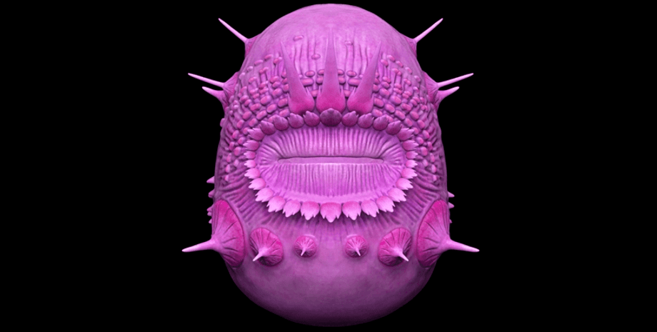 Saccorhytus, чорний фон, фото