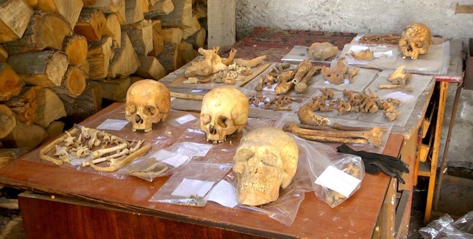 Вінниця, собор, розкопки, артефакти, історія, музей, козаччина, проект, монастир, липень, дослідження, знахідки, кераміка, кістки, череп, рештки, археологи, археологія, останки, піч