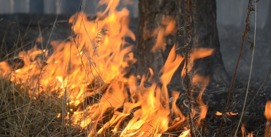 Фото: "Радио Свобода"