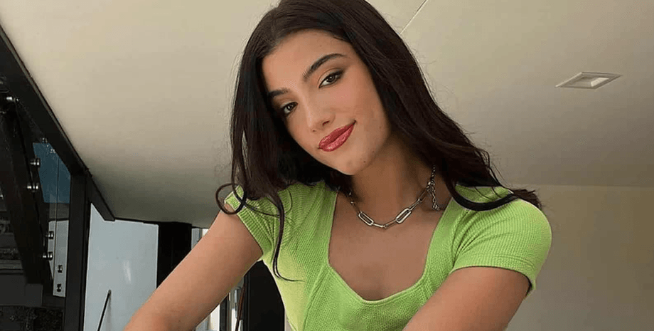 Чарлі Д'Амеліо, зірка TikTok, соцмережі, знаменитість, фанати засудили, невдоволені глядачі, рекламувала свій продукт, насміхалася над робітниками,