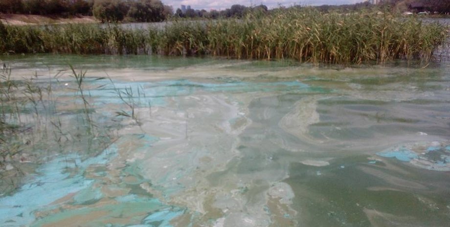 Фото: facebook.com/isfrolova