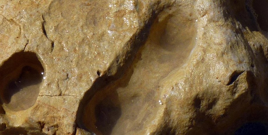 сліди, археологія, Іспанія