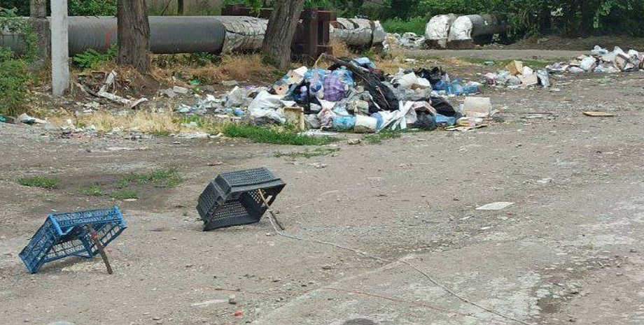 голуби , Мариуполь,