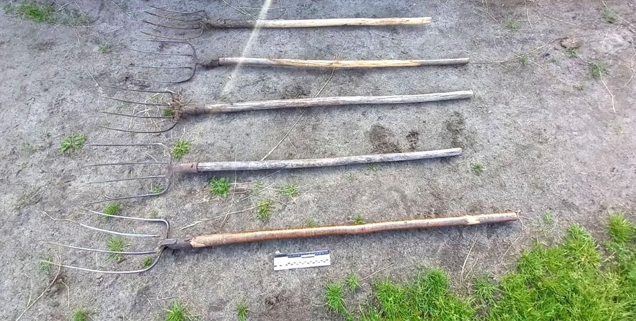 Полицейский, вилы, Ровенская область