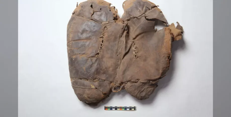 седло, кожаное седло, древнейшее найденное седло, археология, раскопки, история, археологическая находка, верховая езда, скифские седла, история верховой езды