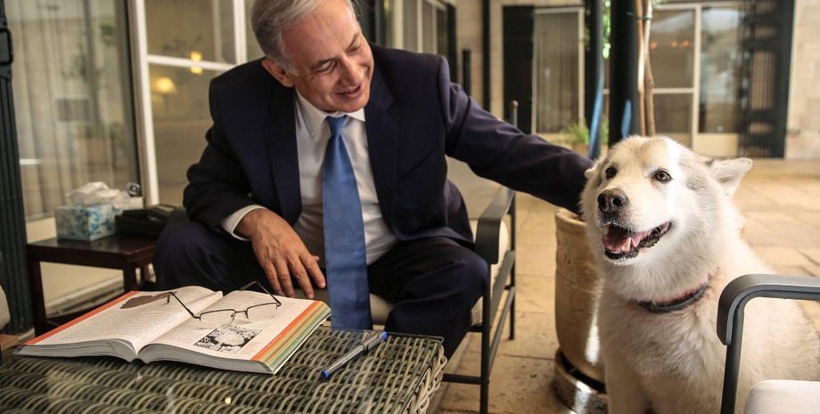 Биньямин Нетаньяху и Кайя / Фото: twitter.com/netanyahu