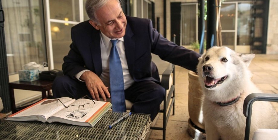 Биньямин Нетаньяху и Кайя / Фото: twitter.com/netanyahu