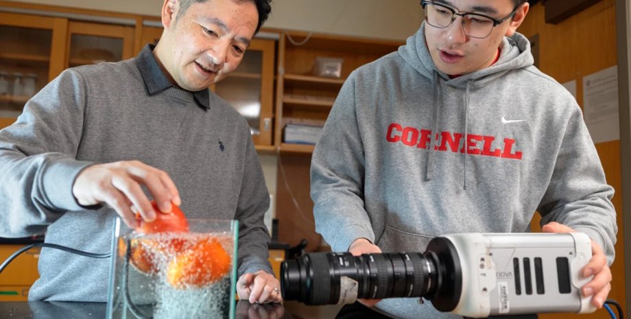 мытье фуктов и овощей мытье овощей