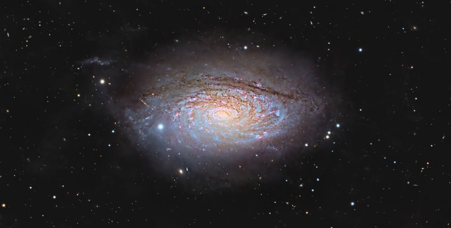 галактика М 63