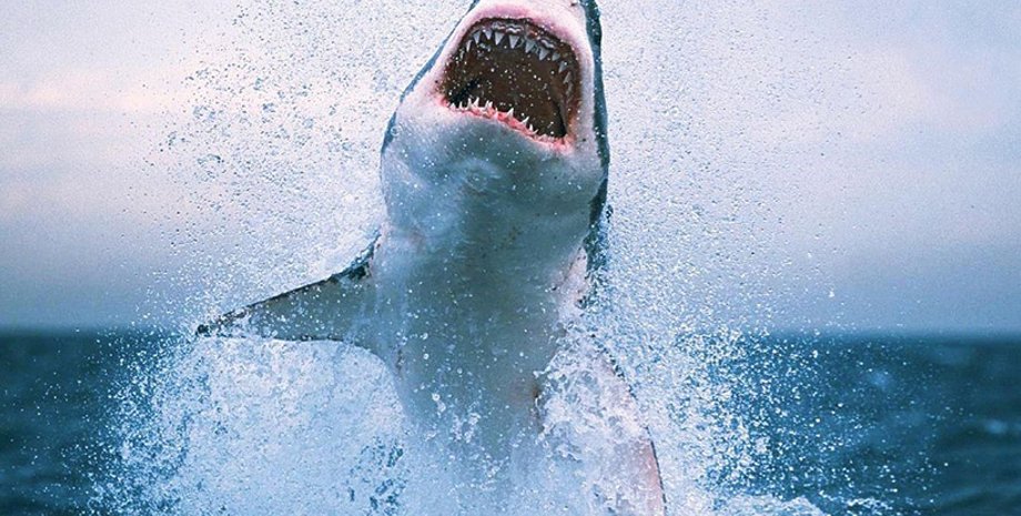 Фото: wordstream.com