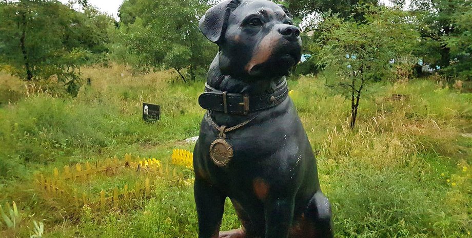 Фото: Владимир Самарский