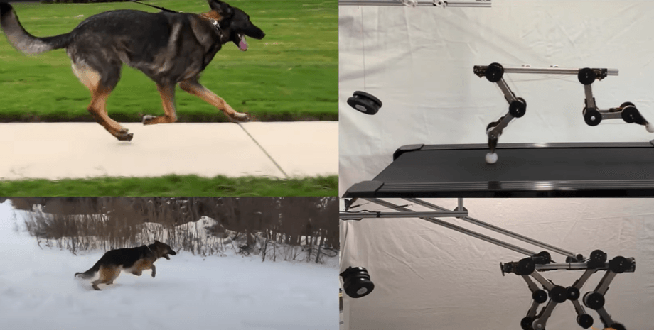 Робот, собака, двигатели, технологии, фото