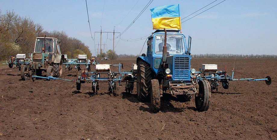 Фото: Getty Images