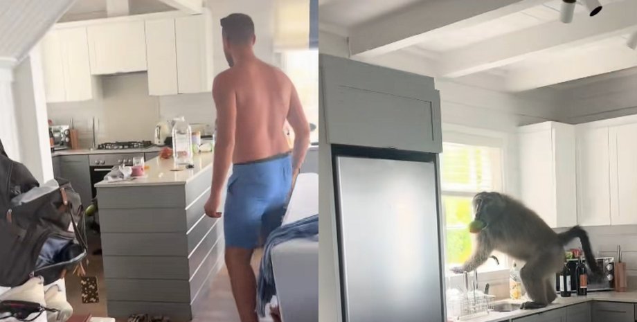 Пара арендовала дом для свадьбы, но застала на кухне "вора-гурмана"