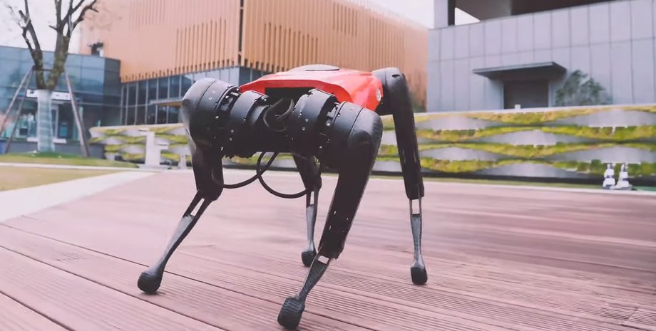 Робопес, AlphaDog