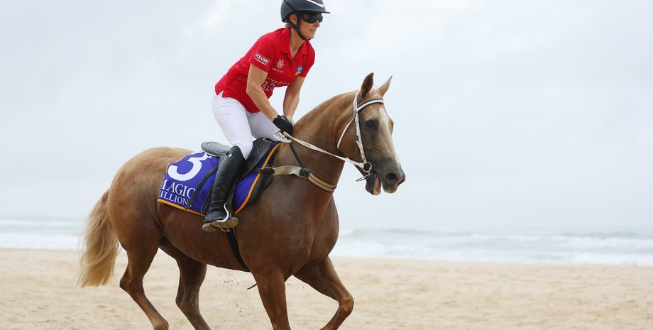 Зара Тиндалл, лошадь