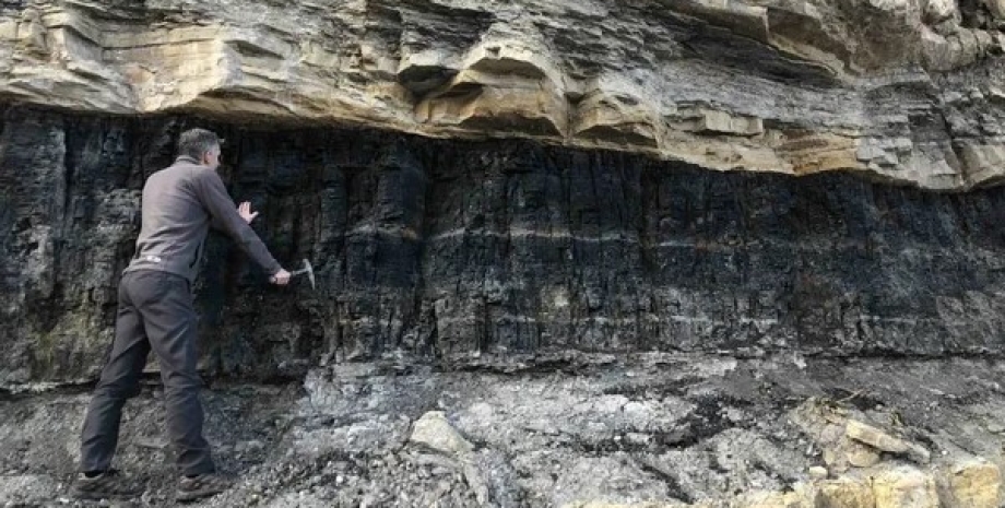 Источник редкоземельных элементов нашли в угольных шахтах уголь, добыча угля, угольные шахты