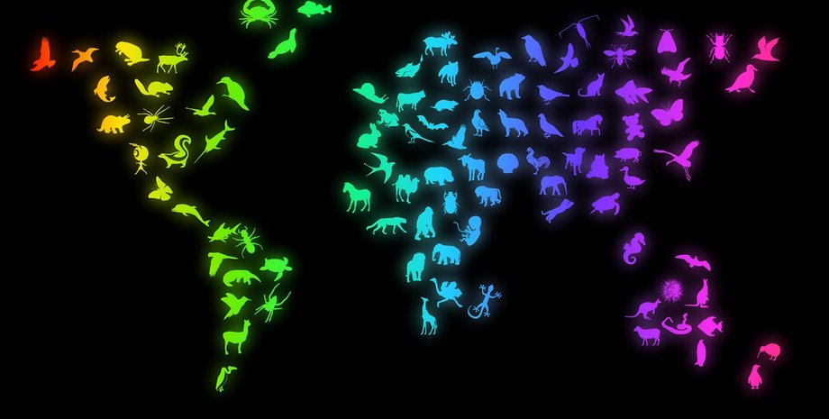 Фото пользователя OpenClipart-Vectors на Pixabay