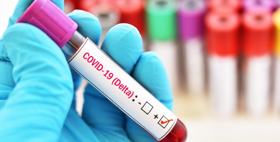 исследования